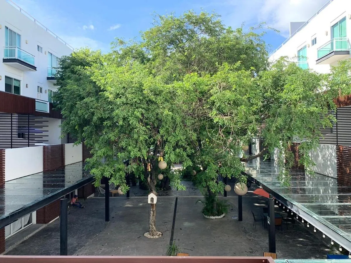 *** Szálloda San Pedro Hotel, 5Ta Avenida Playa del Carmen Mexikó
