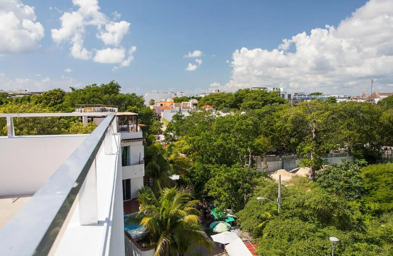 San Pedro Hotel, 5Ta Avenida Playa del Carmen Mexico