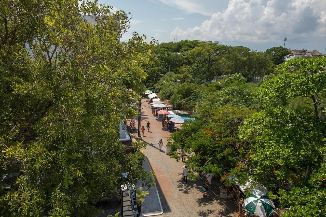 San Pedro Hotel, 5Ta Avenida Playa del Carmen